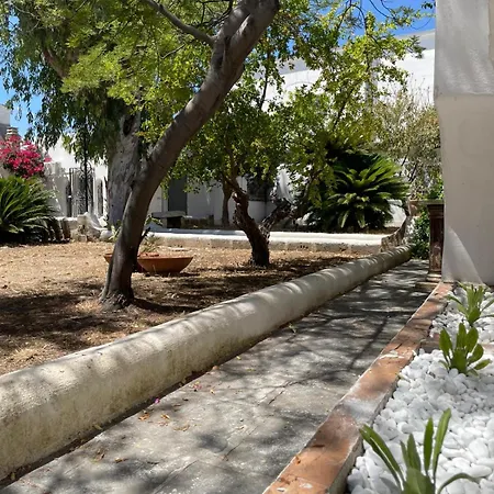 Regina בארי